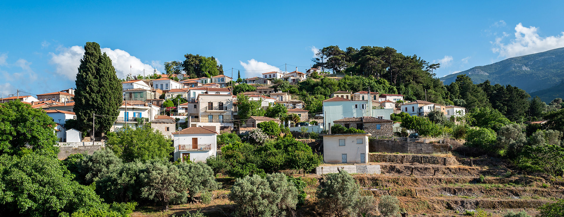 Samos.de - Tavernen, Studios, Wanderungen und vieles mehr